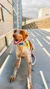 KINDER Image 6